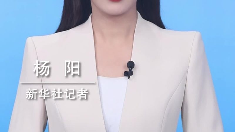 智慧园区平台：构建未来城市智能化的基石